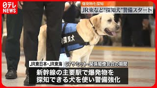 【JR東日本など】“探知犬”警備スタート　G7サミットにむけ