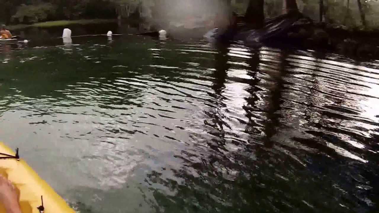 Kayaking Florida. IRISHWATERDOGS. Rum Island on The Santa Fe River