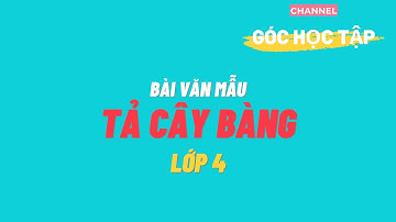 Tả cây bàng trường em - Bài văn mẫu tiếng việt lớp 4