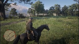 Red Dead Redemption 2 想賣掉馬車 但馬車都摔壞了