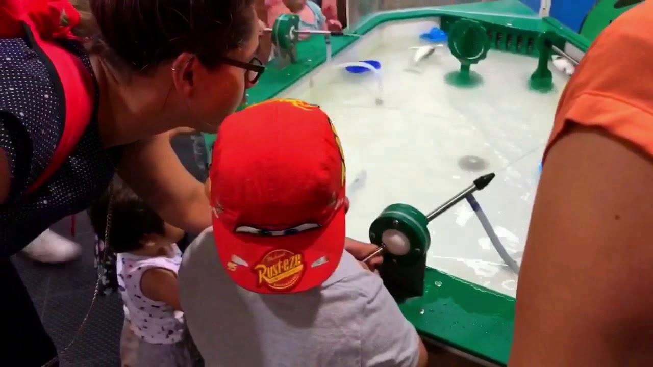 Zimmer Children's Museum Highlights