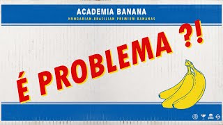 DUCKSHELL feat. Gabi Carvalho - É Problema?!