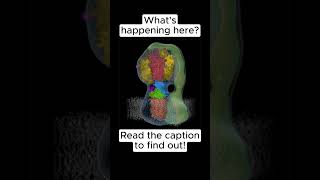 ATP Synthase! (see description for more info) #shorts #biology