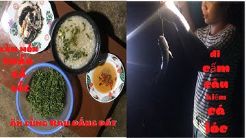 Đi Cắm Câu Kiếm Cá Lóc Làm Món Cháo Cá Lóc ăn cùng Rau Đắng Đất | Thích! Làm Thôi TV.