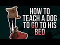 HOW TO TEACH A DOG TO GO TO HIS BED HOW TO TEACH A DOG TO GO TO HIS BED