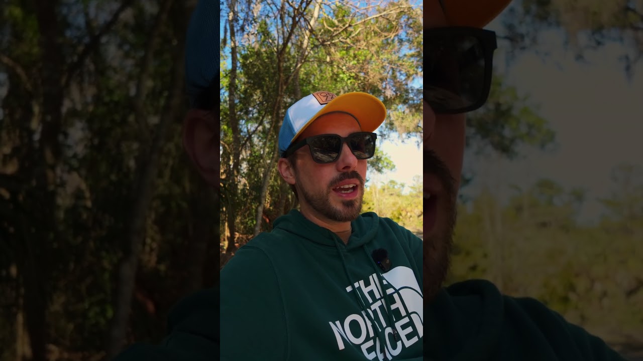 Вот почему у вас нет никакого прогресса 