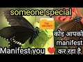 black butterfly meaning | brown butterfly meaning | butterflies | black butterfly brown butterfly ♥️