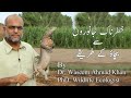 How to avoid dangerous animals by dr waseem ahmad khan  wildlife ecologist