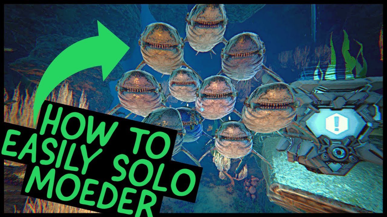 EASILY SOLO MOEDER FIGHT!!!