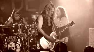 THE DEAD DAISIES - Make Some Noise (Live in Belfast) chords