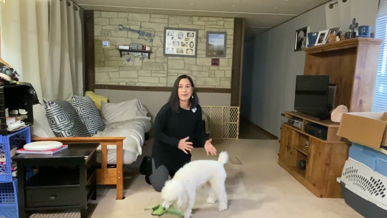 Teach Sit Command Without a Food Lure