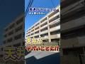 こんな天井見たことない！！#家選び #不動産 #ルームツアー #お部屋探し #リノベーション