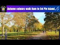 London walk: Autumn colours walk Ham Common to Ham House, River Thames, Eel Pie Island narrated walk
