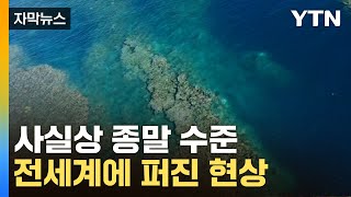 [자막뉴스] "전례 없는 속도의 죽음"...전문가들 '치명적 경고' / YTN