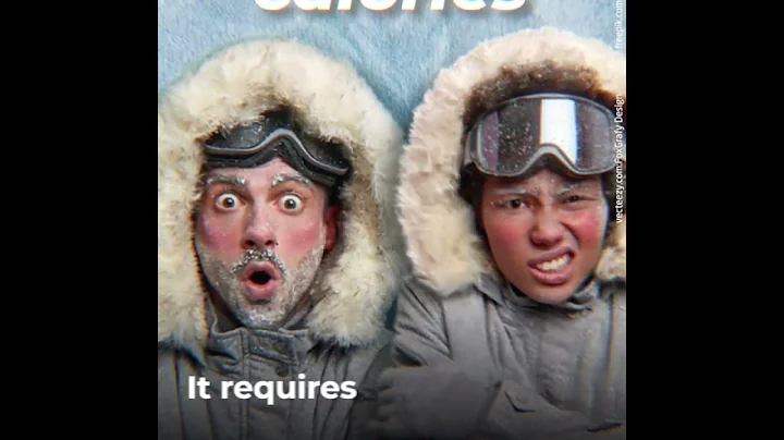 What People Living in Antarctica Eat