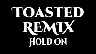 loft - hold on (Toasted Remix)