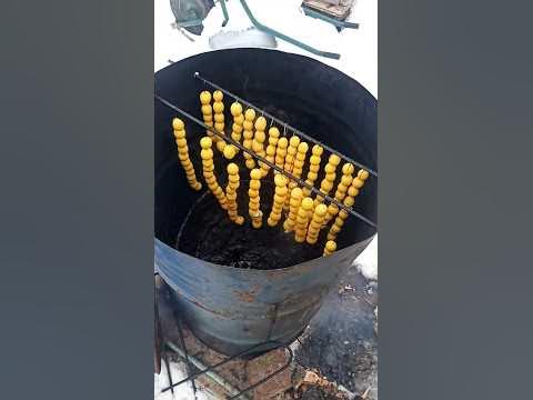 Копчені яйця перепілки - вирощування перепілок своїми руками - YouTube