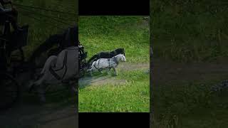 Orange Delivery Ride | RDR2 Horse Carriage Cinematic Mode