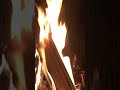 Relaxing fire sounds relaxing sleepfireplace firesounds viral birdsounds viral chill nature