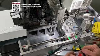 High Efficiency 12 Pin Housing Insertion and Terminal Crimping Equipment System
