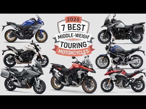 7 Best Middleweight