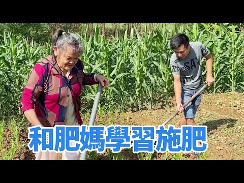 男一號和肥媽來給菜施肥，真是家有一老如有一寶，要好好和肥媽學習了！ 【男一號R】