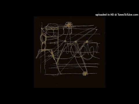 Lee Ranaldo -