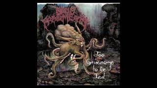 Bone Fragments - Jezebel