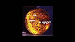 Fibra Vrgov -The Cradle of Life (Tomb Raider Anniversary main theme song inspired)