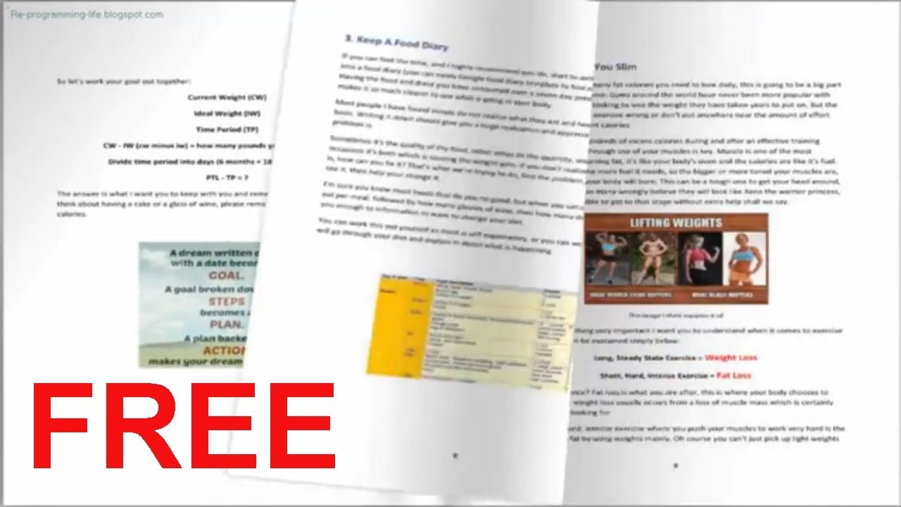 Flat Belly Fix (Free) Review | How Does The Program Work