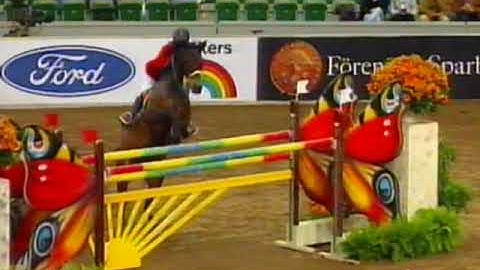 Meredith Michaels   Beerbaum   Sprehe Stella   World Cup