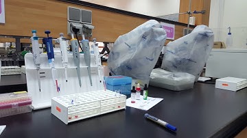 Blood Bank lab -  Direct AHG (Direct Coombs test) - Practical Part 2