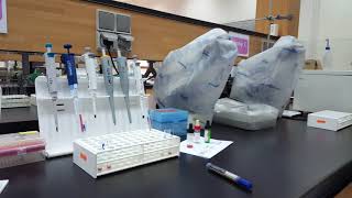 Blood Bank lab -  Direct AHG (Direct Coombs test) - Practical Part 2 screenshot 1