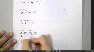 Chapter 11 Test Review   #