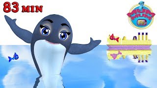 Blue Whale - Animal Songs & more Popular Nursery Rhymes Songs | Wheels on the bus