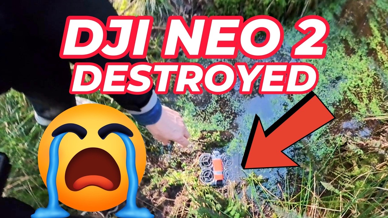 MY NEO 2 / OH DEAR / WATER DAMAGE / WON'T FLY / THE ONLY PUDDLE IN THE FOREST