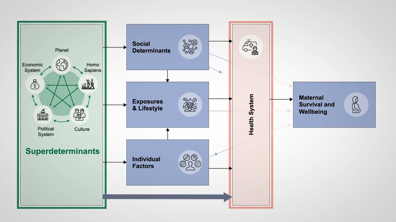 Maternal health in the perinatal period and beyond: Determinants of maternal health