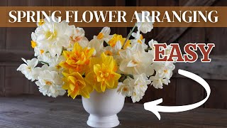 The Surprising Reason I Love Daffodils in Spring