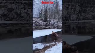 Pull Ice Floe#viral #shortsfeed #ytshorts