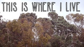 THIS IS WHERE I LIVE - TREES DANCE TO THE WIND