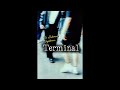 The Audiences' Nightmare - Terminal