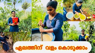 ഏല മകചച വരന ചമപന ഇന വളവ നറമന Vlog