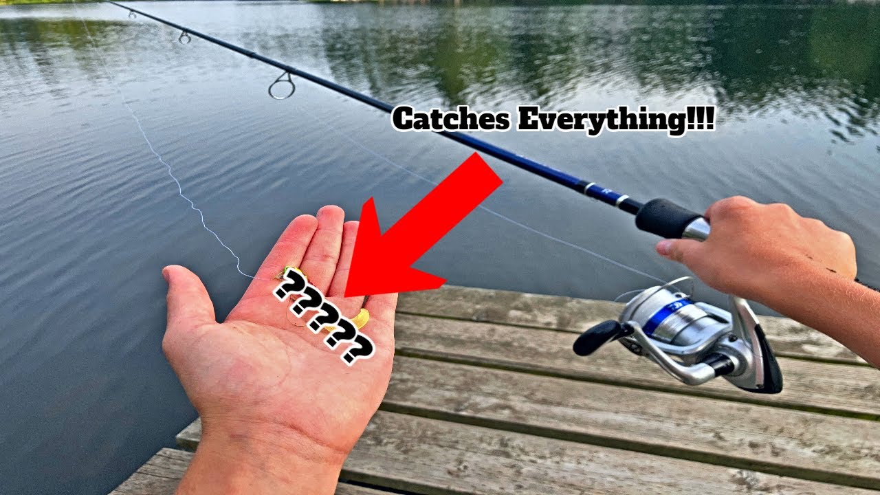 The Secret Lure That Catches Everything! (BIG Fish Caught!!!)