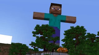 Steve As Helicopter Helicopter 3