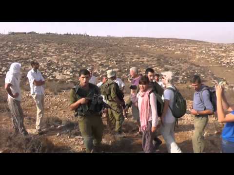 Another Brutal attack of Ta'ayush activists by Mitspe Yaia's settlers