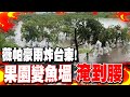 薇帕颱風