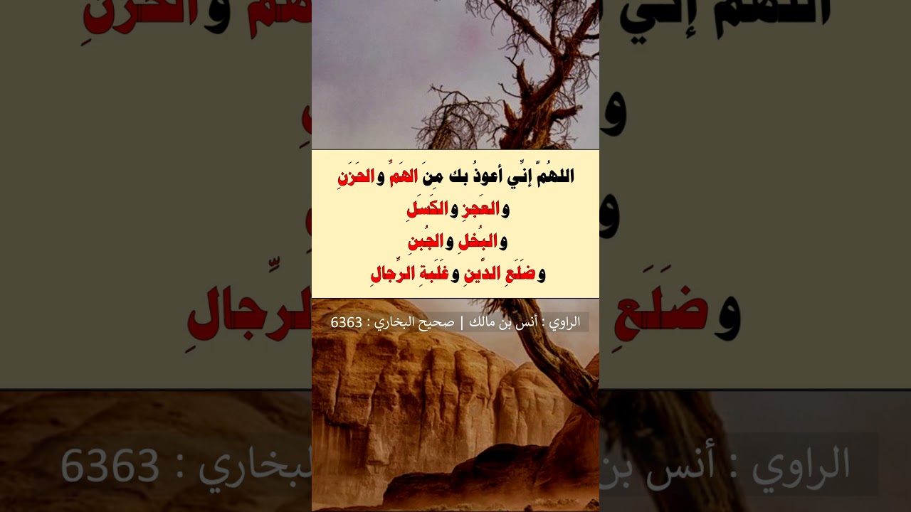 ثمانية أمور كان يكثر النبي ﷺ التعوذ بالله سبحانه منها - الشيخ عبد الرزاق البدر