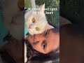 #catshorts #cutecats