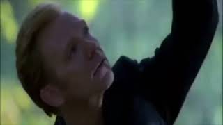 Horatio Caine All Time Best One Liners