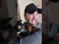 Cats or Dogs ?! #cats #dog #catsordogs